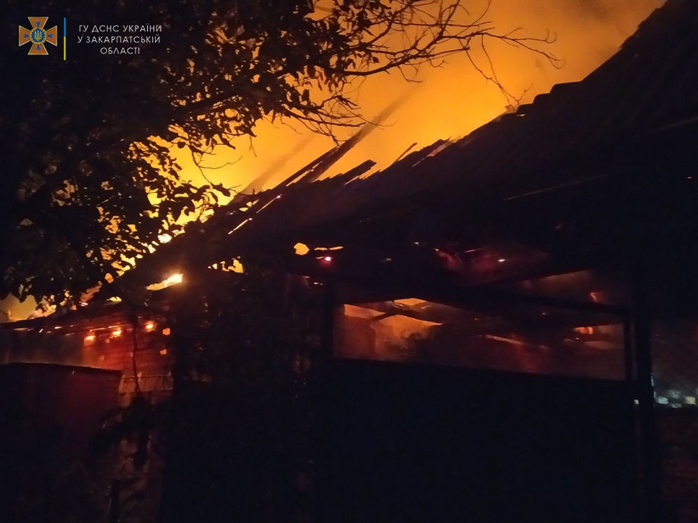 Майже 5 годин ліквідовували пожежу в надвірній споруді з сіном на Хустщині (ФОТО)