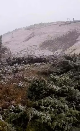 На Драгобраті на Закарпатті також випав перший сніг (ВІДЕО)