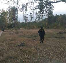 На Ужгородщині шукають чоловіка, який у переддень нового року пішов у ліс і не повернувся