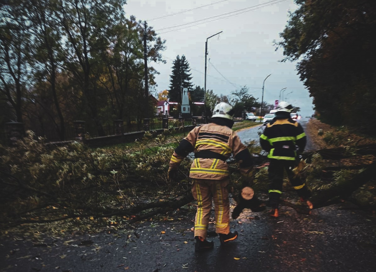 Через дощі на Закарпатті підтопило будинки та падали дерева (ФОТО)