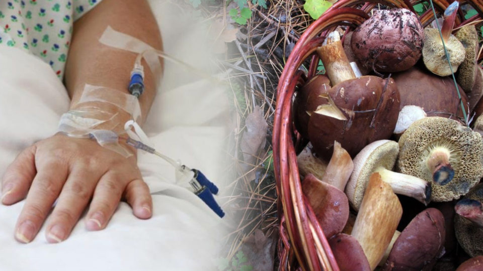 10 людей із отруєннями грибами госпіталізовано на Закарпатті "швидкою" з початку серпня