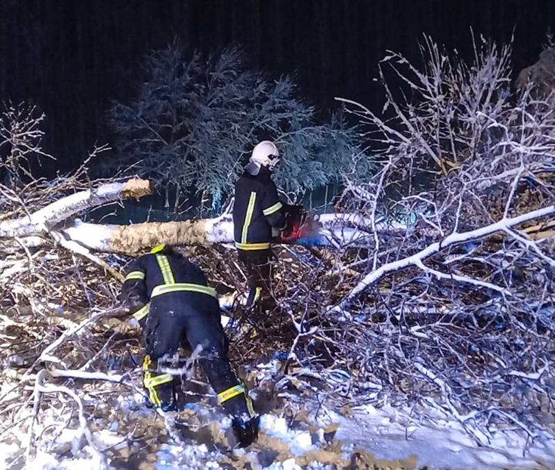 Через мокрий сніг на Закарпатті на дороги масово падали дерева (ФОТО)