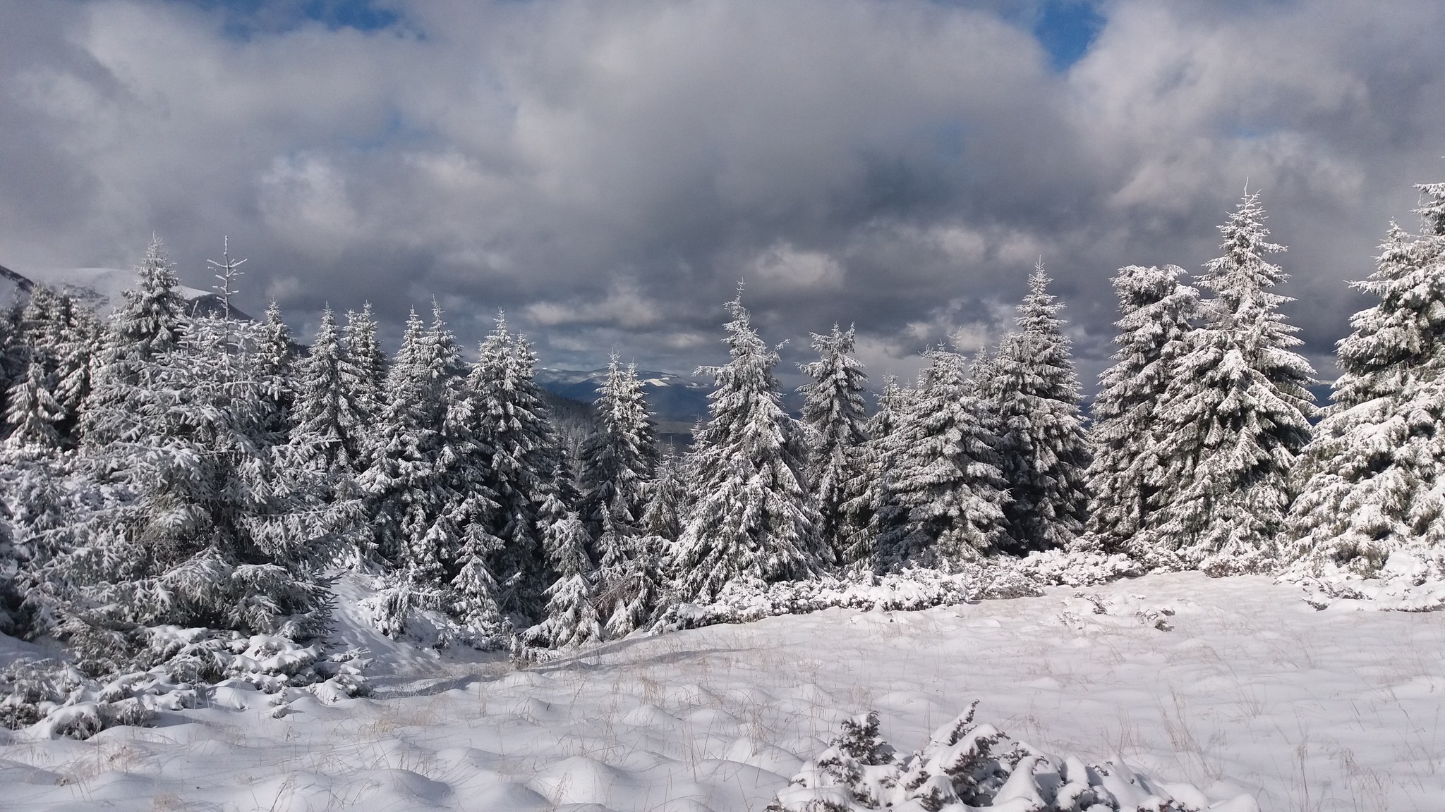У Карпатському біосферному заповіднику на Закарпатті проводять моніторинг снігового покриву з найвищих вершин 
