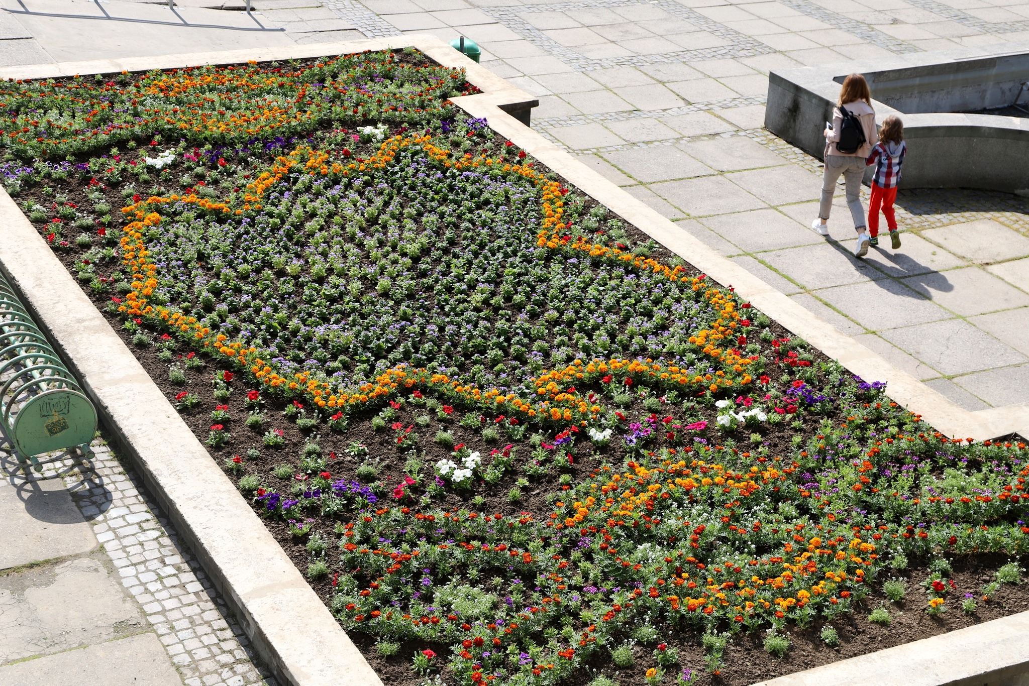 В Ужгороді на квіткових клумбах відтворили герб міста та сформували "вишиванку" (ФОТО)