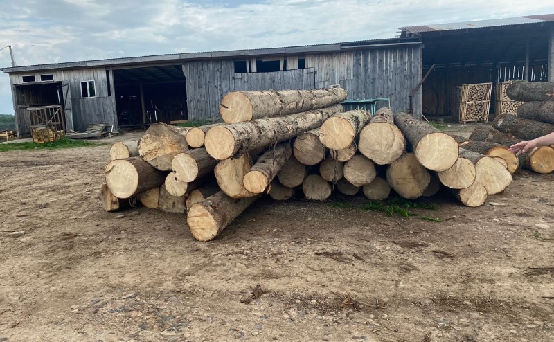 На Хустщині вилучили з місцевого підприємства нелегальну деревину та вантажівку, якою здійснювали транспортування (ФОТО)