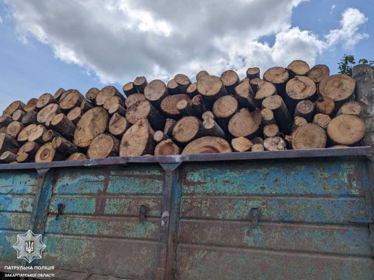 На Мукачівщині виявили водія, який незаконно перевозив лісопродукцію (ФОТО)