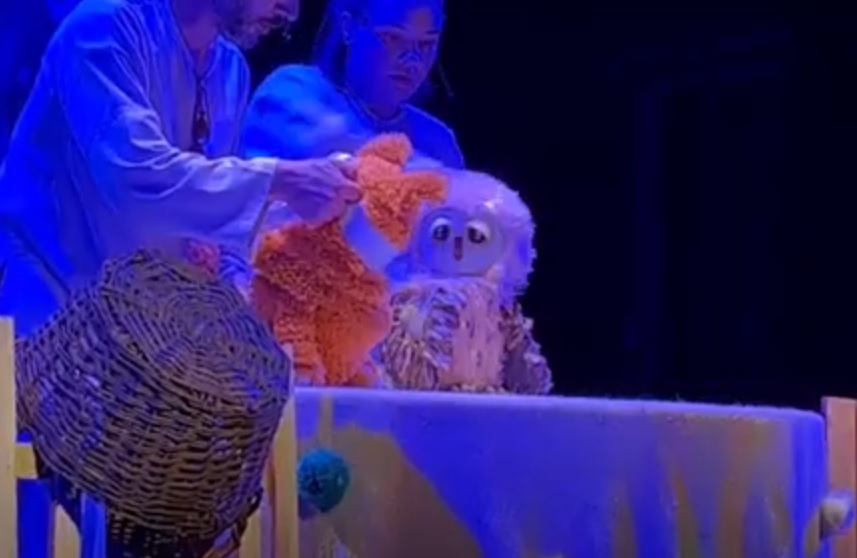 Закарпатські лялькарі завершили театральний сезон прем'єрою вистави "Таємниця маленької сови" (ВІДЕО)