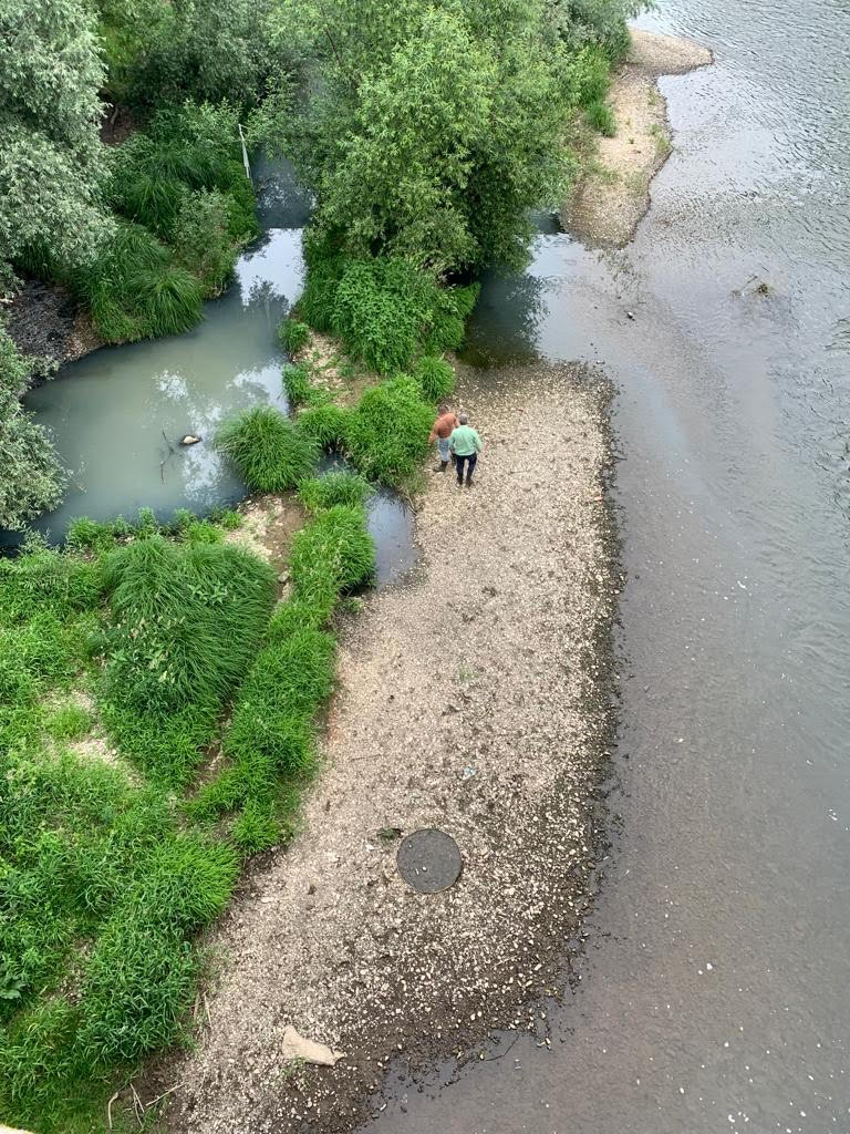 В Ужгороді виявили забруднення річки Уж (ФОТО)