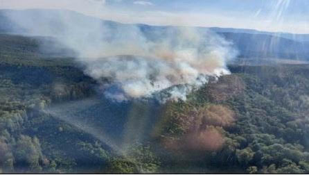 Збитки від знищення флори на місці пожежі в Ужгородському лісгоспі сягають понад 21 млн грн (ФОТО)