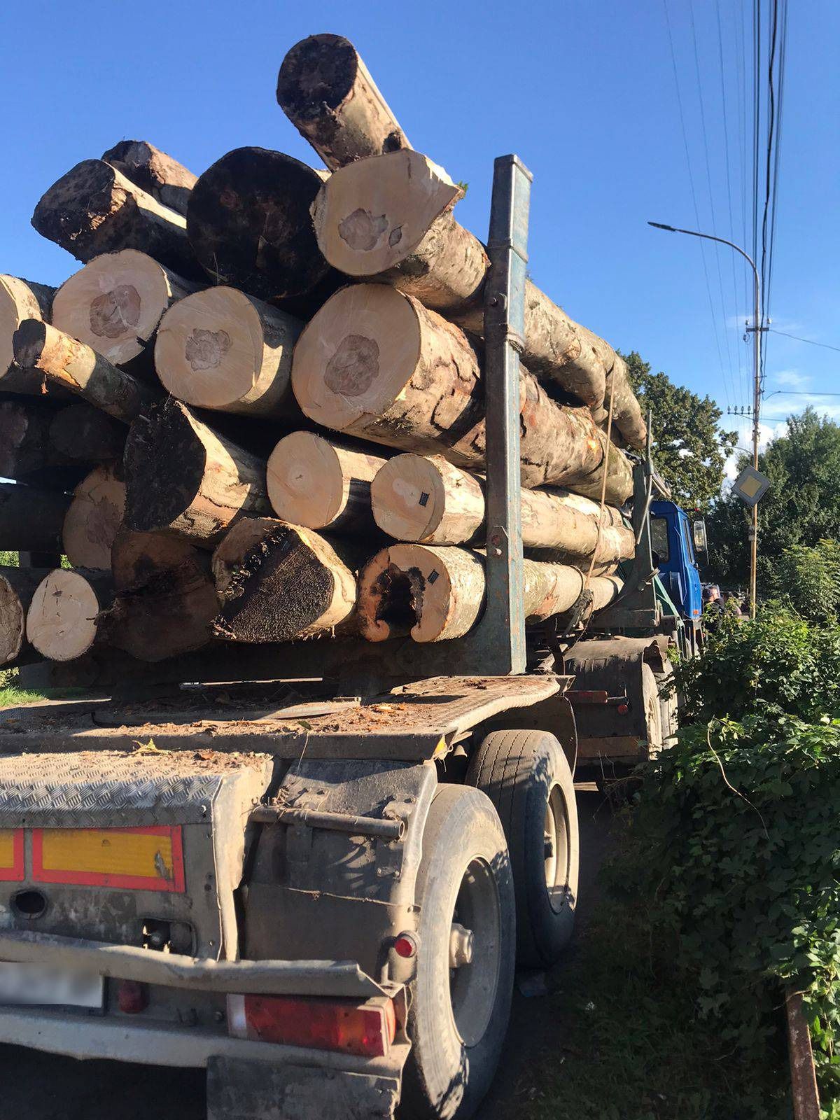 У Сваляві вилучили вантажівку з нелегальною деревиною (ФОТО)