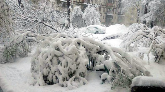 На ранок четверга через мокрий сніг на Закарпатті було частково знеструмлено 20 населених пунктів