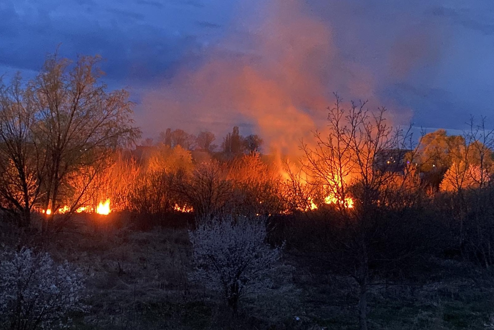 З 32 пожеж, зафіксованих минулого тижня на Закарпатті, 25 – це підпали сухостою (ФОТО)