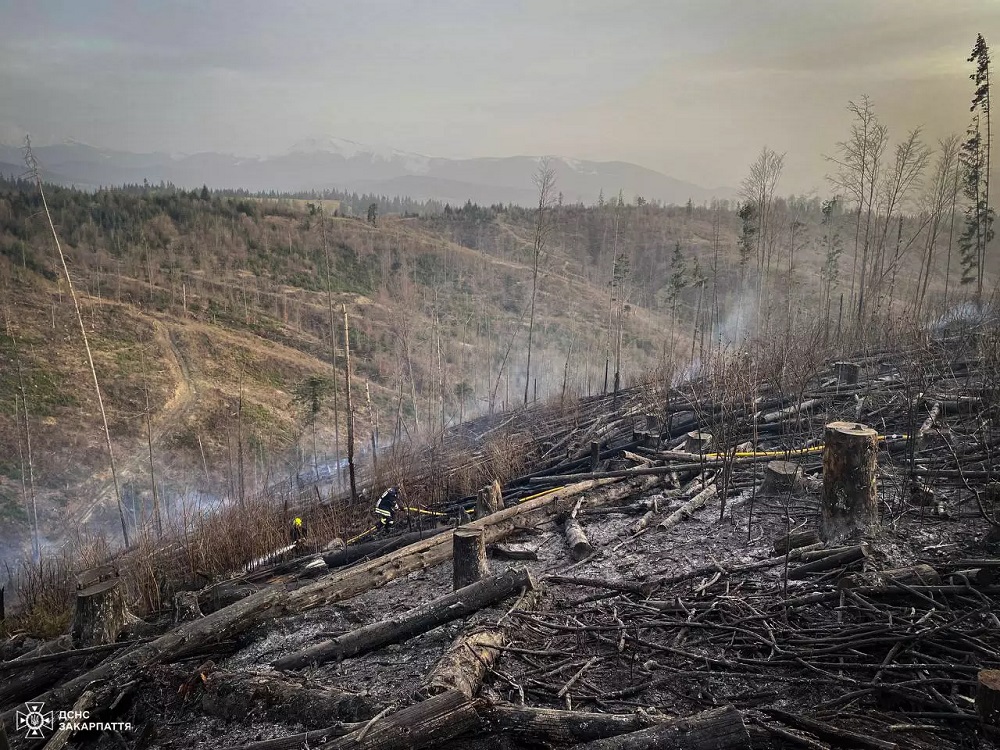 Станом на 21:00 масштабну пожежу на території Лазещинського лісництва погасили (ФОТО, ВІДЕО)