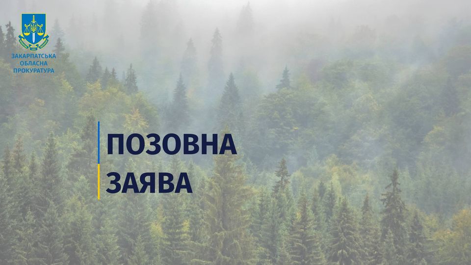 Міжгірська громада незаконно привласнила понад 60 га земель лісфонду – прокуратура