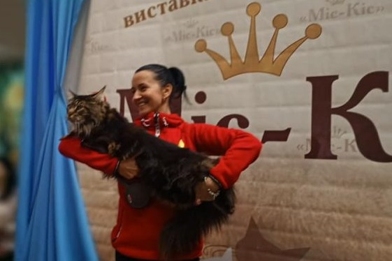 В Ужгороді відбулася виставка кішок "Міс Кіс-2018" (ВІДЕО)