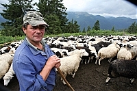 На Рахівщині проводжали вівчарів з отарами на полонини