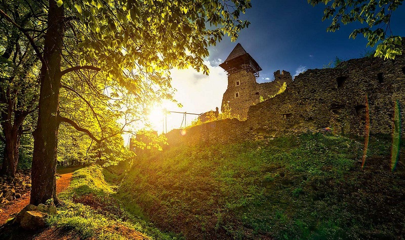 У Невицькому замку провели відкриту екскурсію (ВІДЕО)