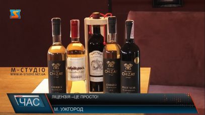 Перепони на шляху легалізації виноробства обговорили на зустрічі в Ужгороді (ВІДЕО)
