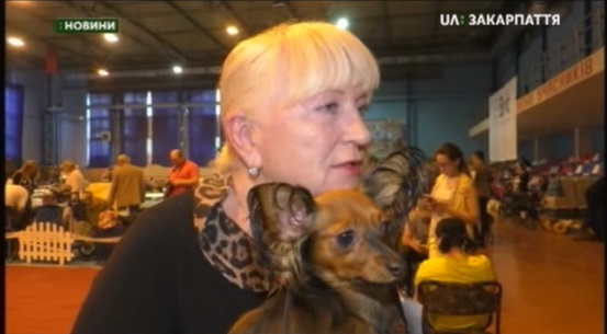 В Ужгороді відбулася міжнародна виставка собак (ВІДЕО)