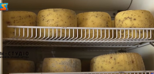 У Дубовому на Тячівщині виготовляють крафтовий сир понад 15-ти сортів (ВІДЕО)