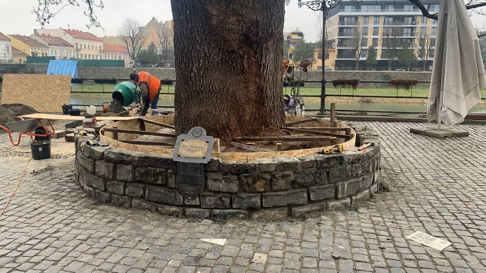 В Ужгороді ремонтують лавки на площі Фенцика і біля ясена Масарика (ФОТО)