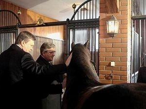 Януковичу в Польщі подарували пару гуцульських коней (ФОТО)