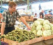 Найбільшою популярністю на базарах Львова користуються огірки із Закарпаття