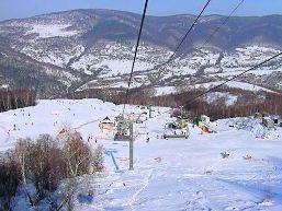 Закарпатський "губернатор" опікувався проблемами приватного гірськолижного комплексу